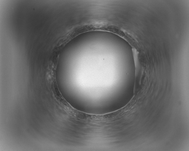 X0000075401349200609251008