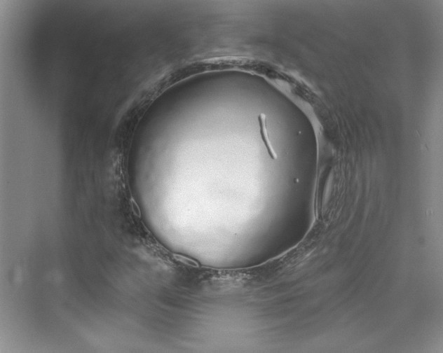 X0000075401351200609251008