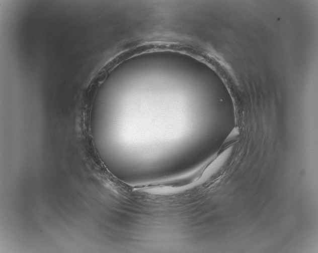 X0000075401352200609251007