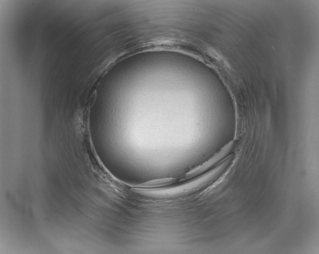 X0000075401353200609251007