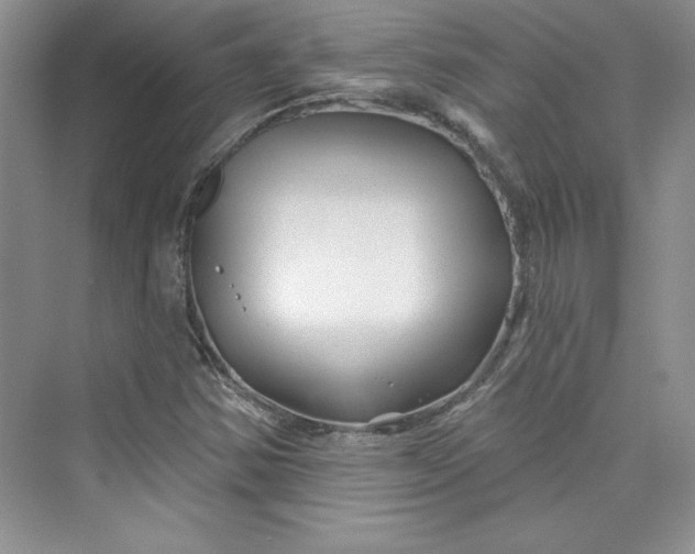 X0000075401354200609251007