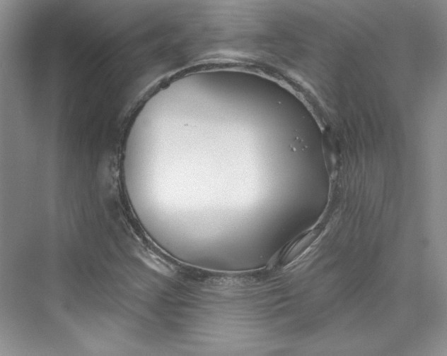 X0000075401355200609251007