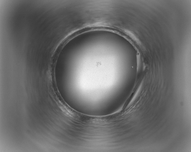 X0000075401356200609251007