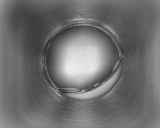 X0000075401357200609251007