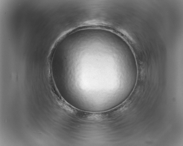 X0000075401358200609251007