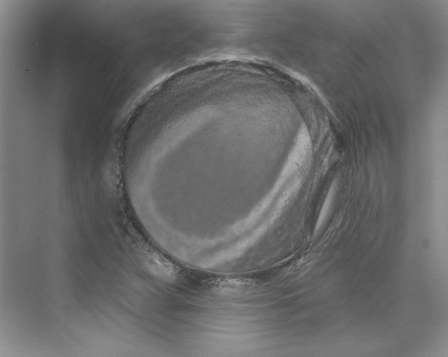 X0000075401359200609251007