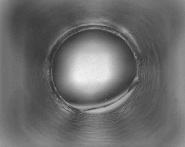 X0000075401360200609251007