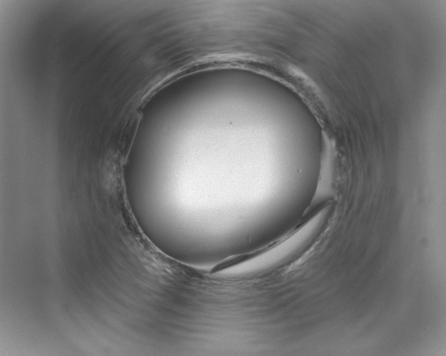 X0000075401361200609251007