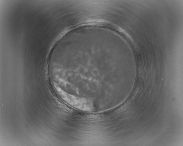 X0000075401362200609251007