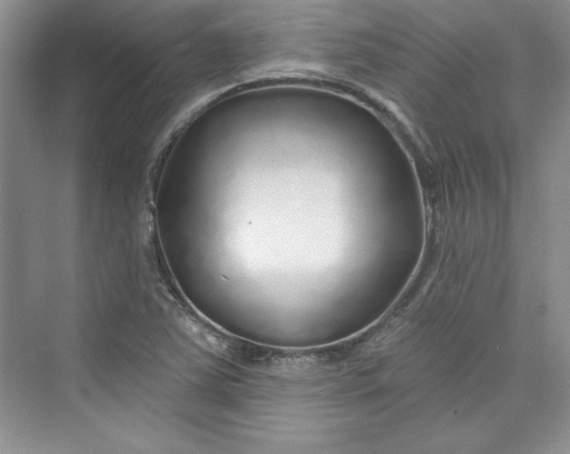 X0000075401363200609251007