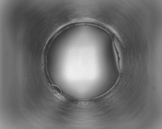 X0000075401364200609251007