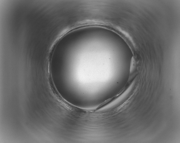 X0000075401365200609251007