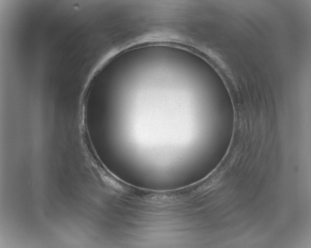 X0000075401366200609251007