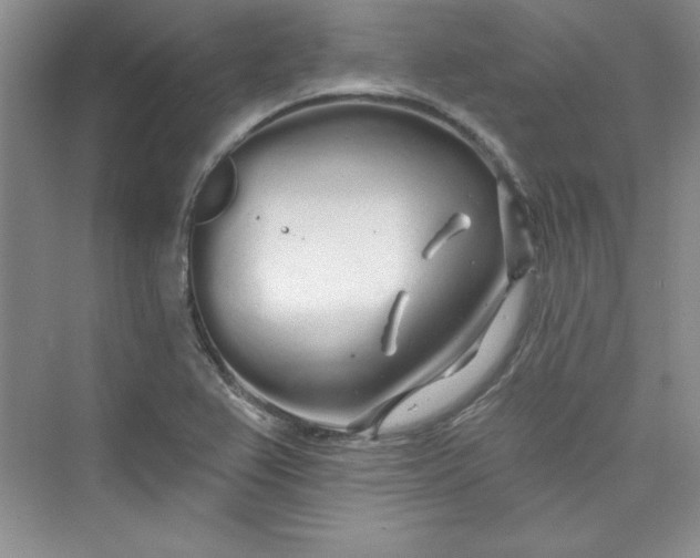 X0000075401367200609251007