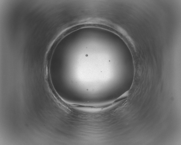 X0000075401368200609251007