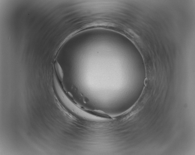 X0000075401369200609251007