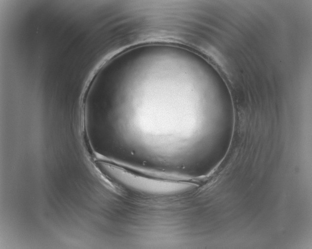 X0000075401371200609251007