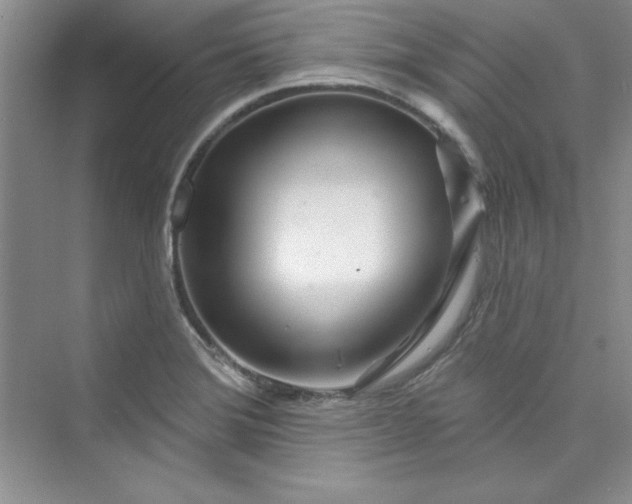 X0000075401372200609251007