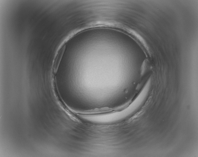 X0000075401373200609251007