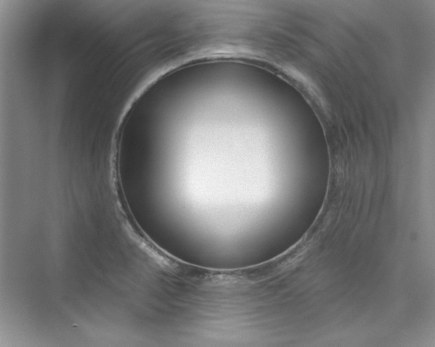 X0000075401374200609251007