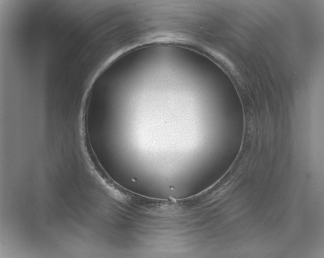 X0000075401375200609251007