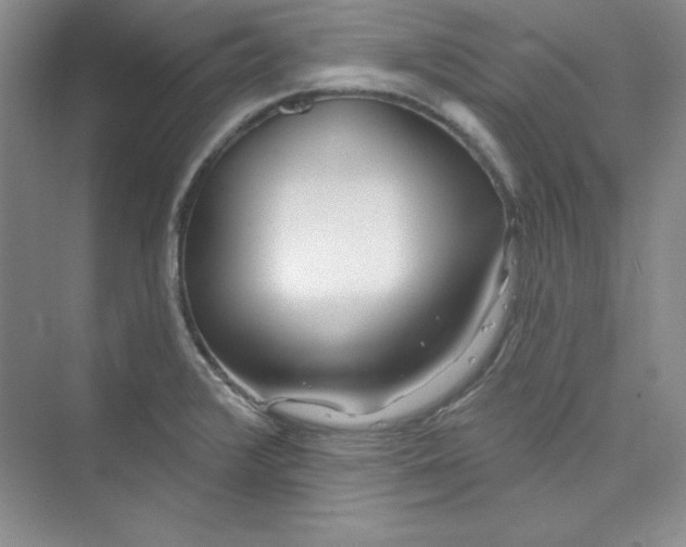 X0000075401376200609251007