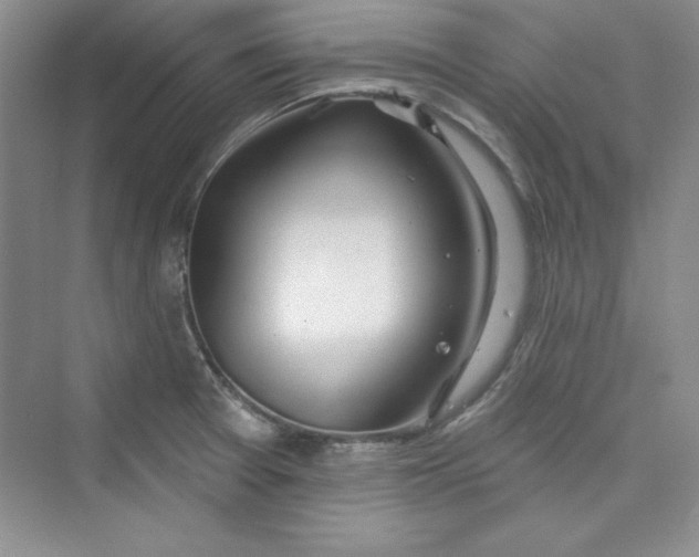 X0000075401377200609251007