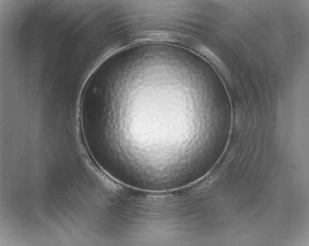 X0000075401378200609251007