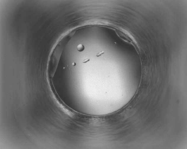 X0000075401379200609251007