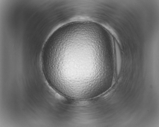 X0000075401382200609251007