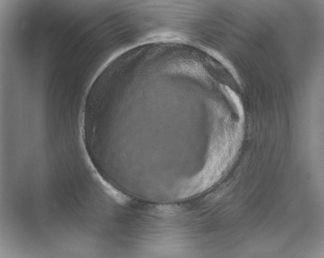 X0000075401383200609251007