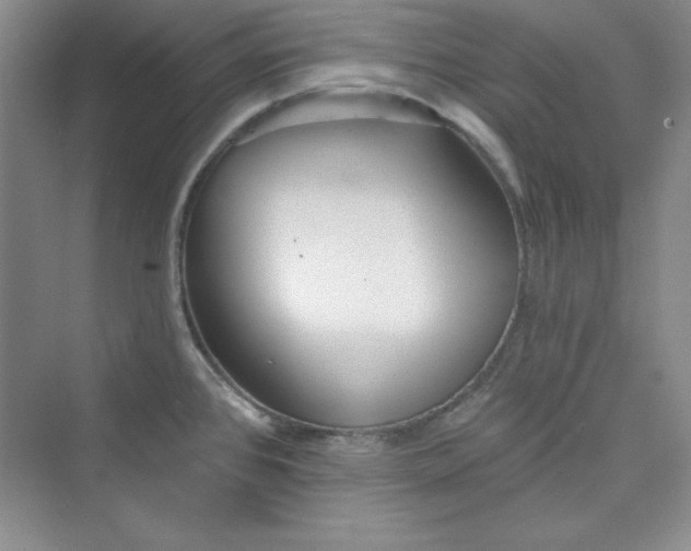 X0000075401384200609251007