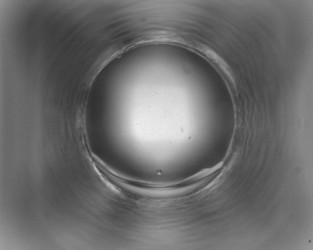 X0000075401385200609251007