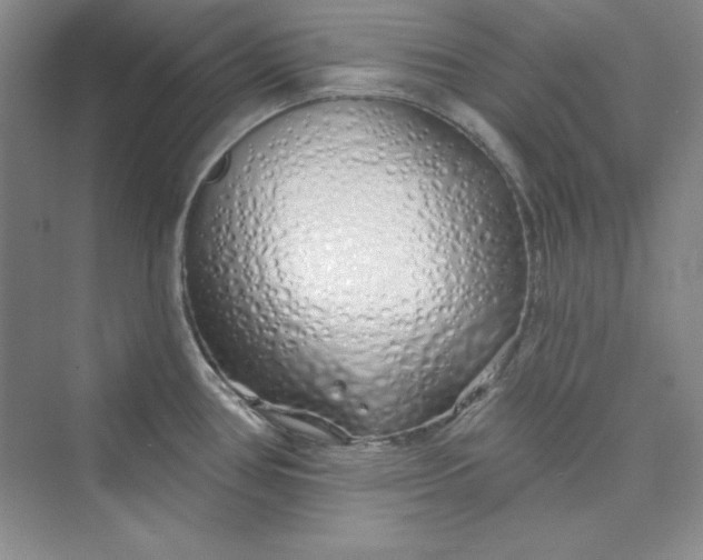 X0000075401386200609251007