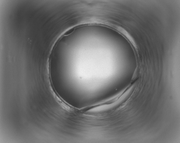 X0000075401388200609251007