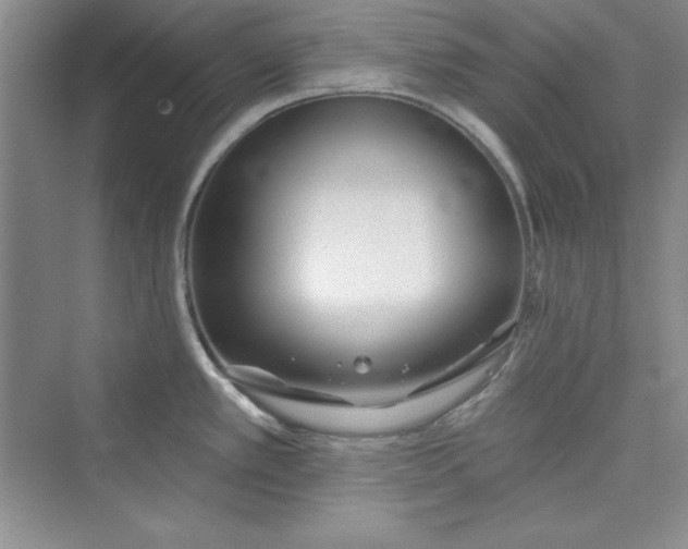 X0000075401389200609251007