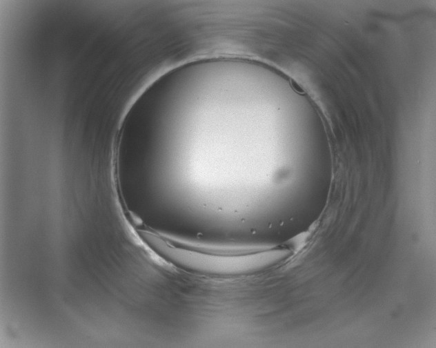 X0000075401390200609251007