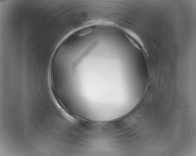 X0000075401391200609251007