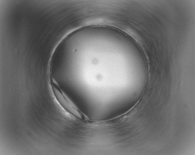 X0000075401392200609251007