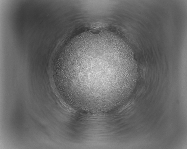 X0000075401393200609251006