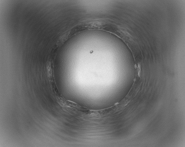 X0000075401395200609251006