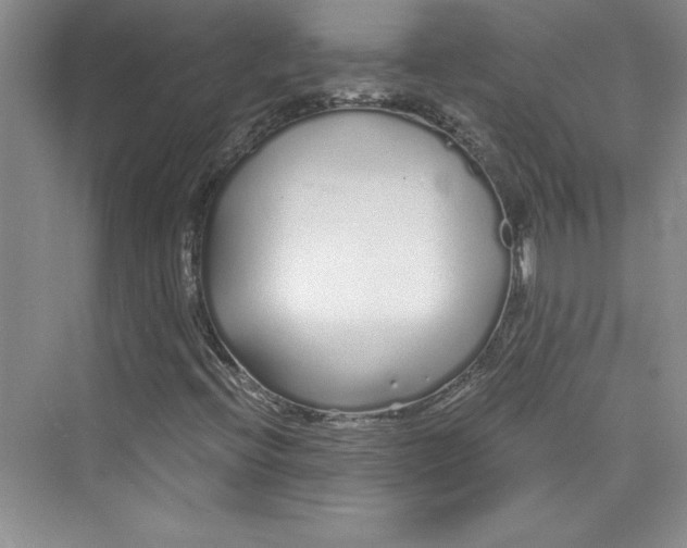 X0000075401396200609251006