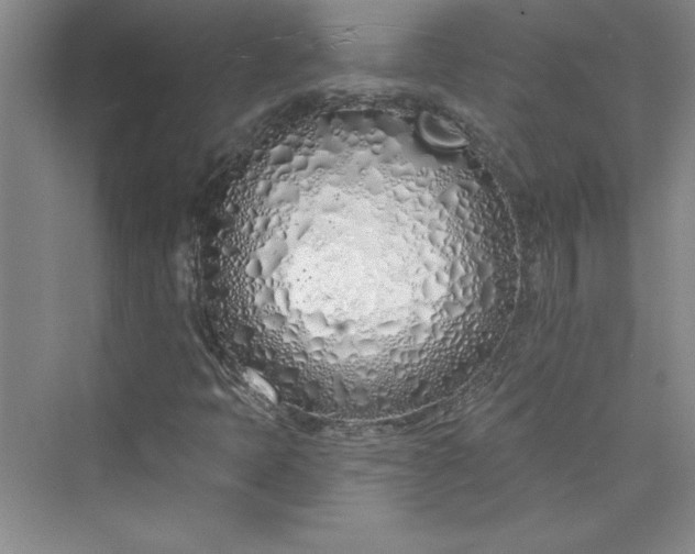 X0000075401397200609251006