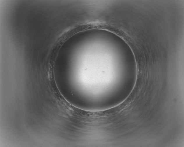 X0000075401398200609251006