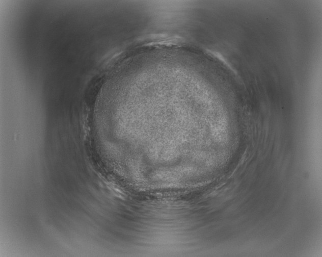 X0000075401399200609251006