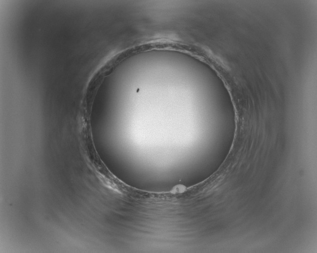 X0000075401400200609251006