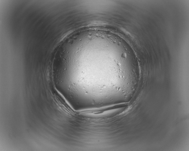 X0000075401401200609251006