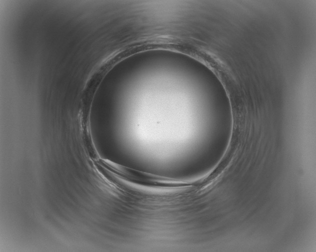 X0000075401402200609251006