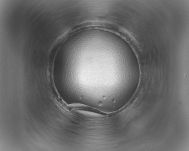 X0000075401403200609251006