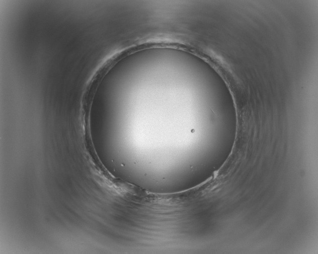 X0000075401408200609251006